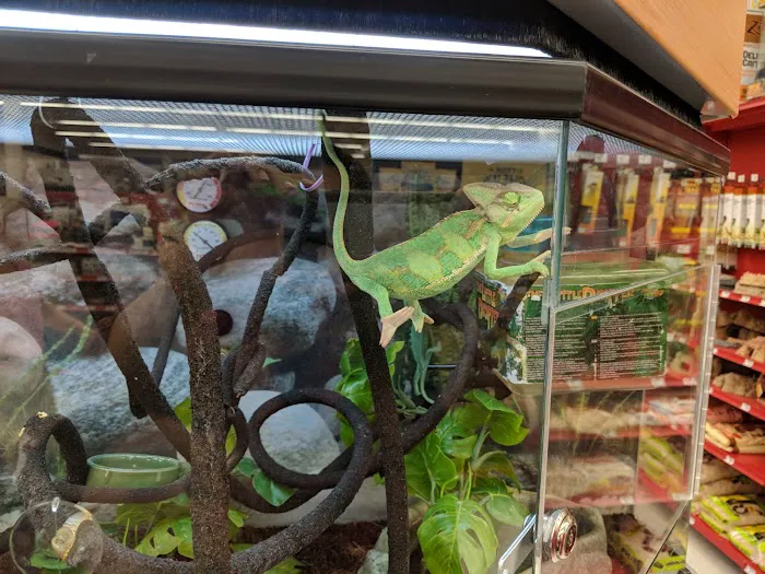 Petco Picture 7