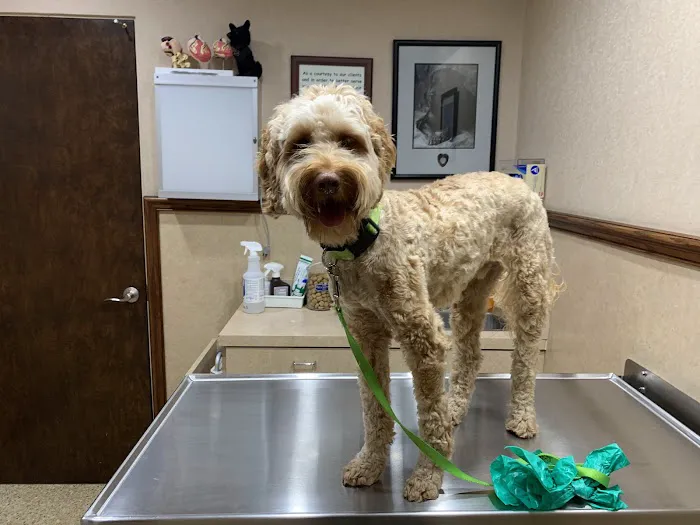 Valley Veterinary Clinic Picture 1