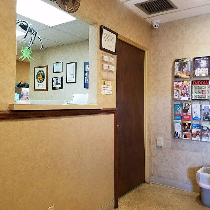 Valley Veterinary Clinic Picture 10