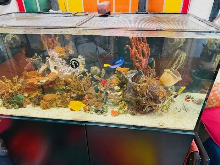 Reliant Aquarium Design Picture 1