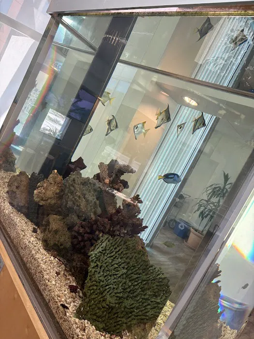 Reliant Aquarium Design Picture 4
