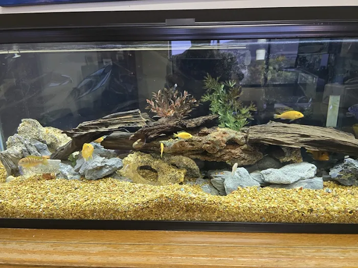 Reliant Aquarium Design Picture 9