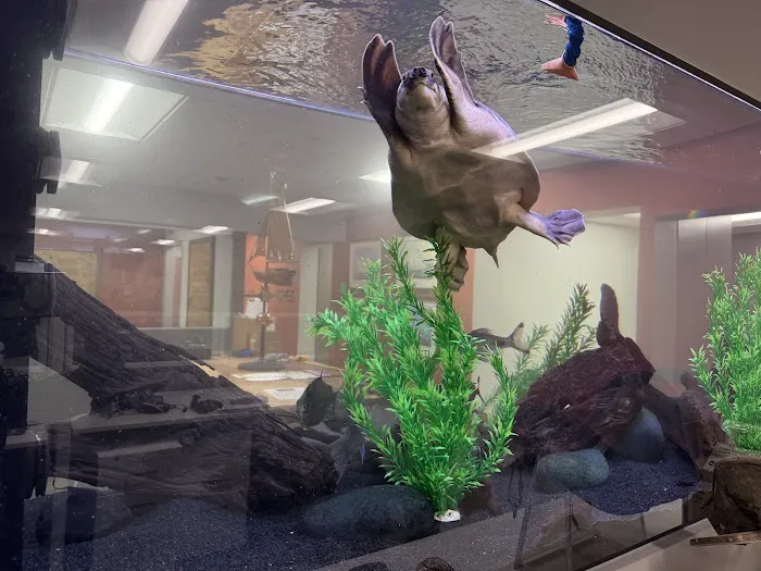 Reliant Aquarium Design Picture 8