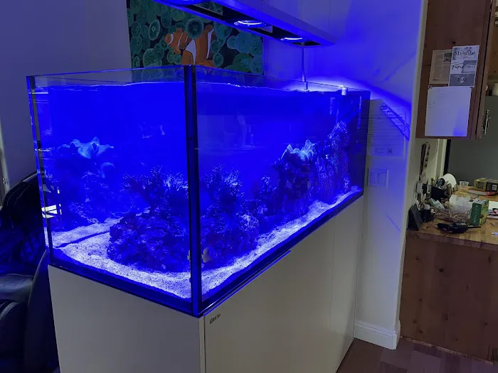 Reliant Aquarium Design Picture 7