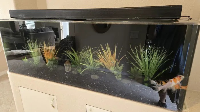 Reliant Aquarium Design Picture 6