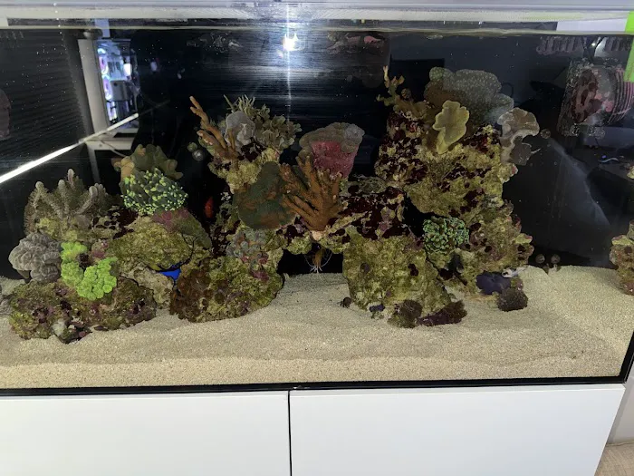 Reliant Aquarium Design Picture 10