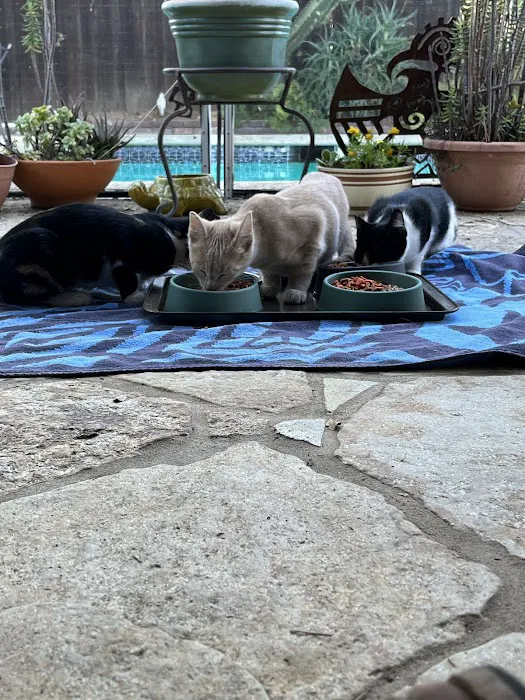 Simi Valley Non-Profit Spay and Neuter Clinic Picture 10