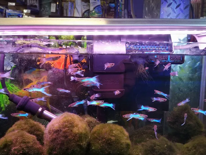 Aquatic Warehouse Picture 6