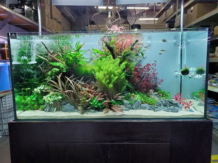 Aquatic Warehouse Picture 8