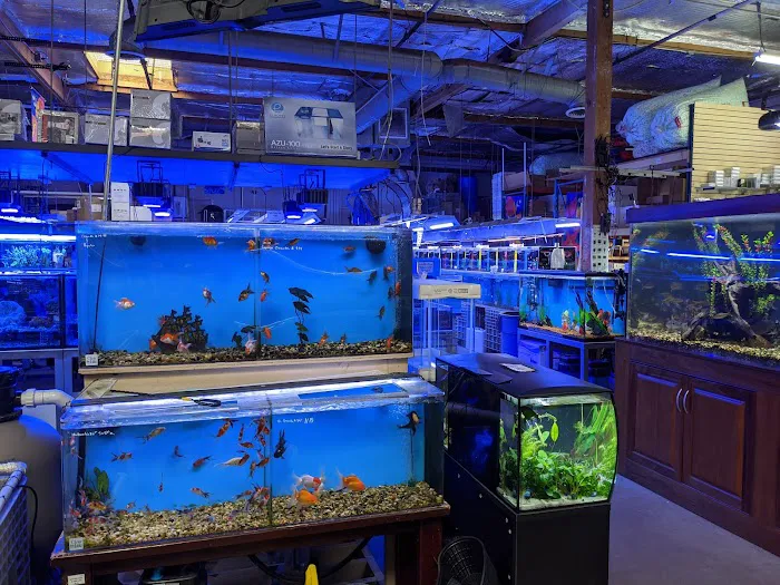 Aquatic Warehouse Picture 7