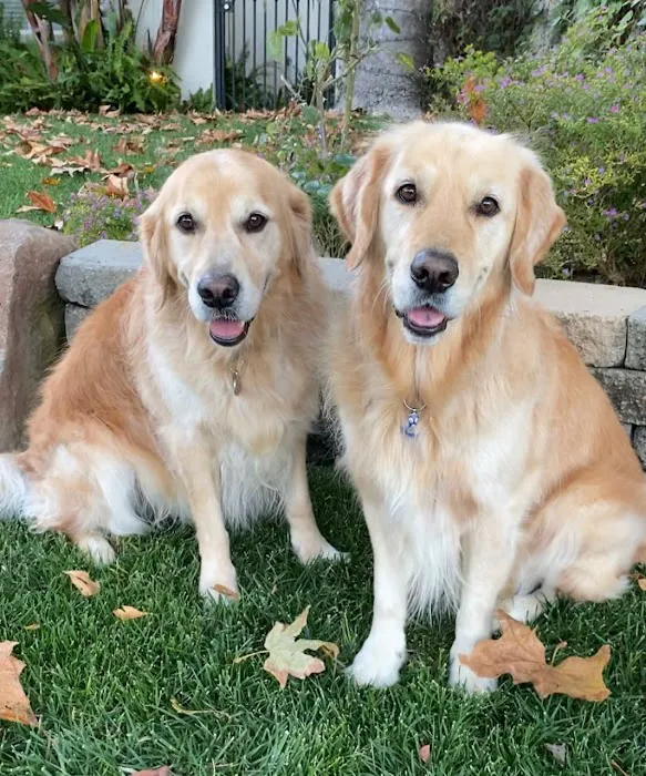 Angeles Animal Hospital Picture 3