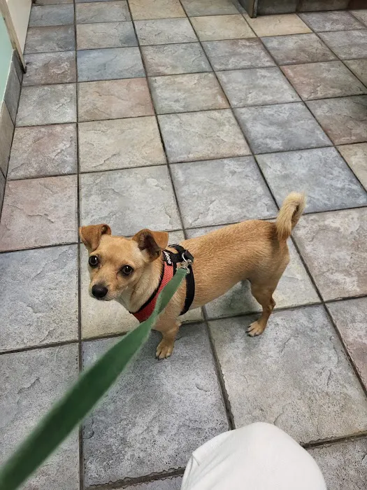 Angeles Animal Hospital Picture 8