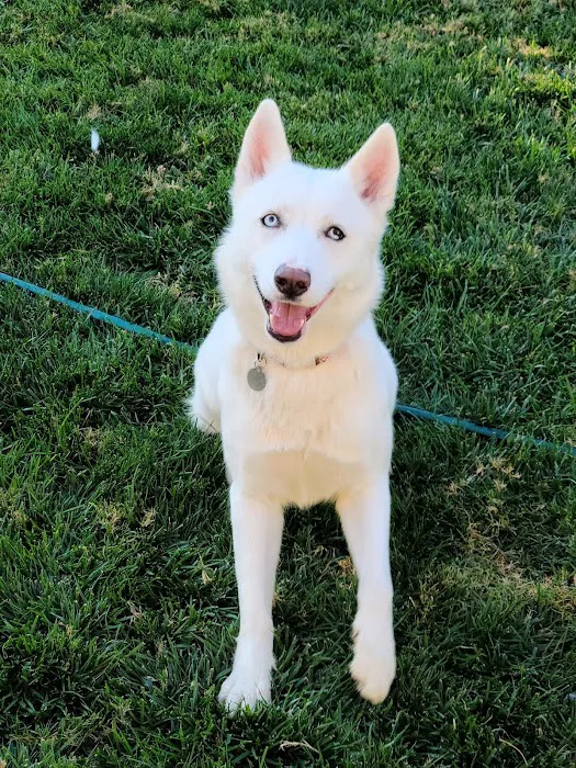 Angeles Animal Hospital Picture 7