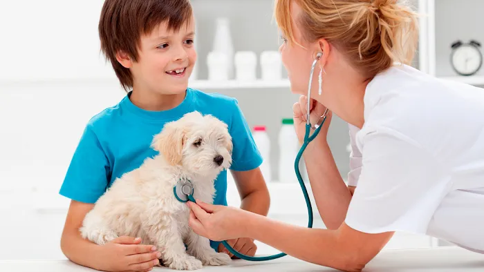 Angeles Animal Hospital Picture 10