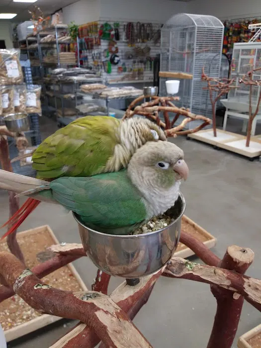 BirdSmart Picture 2