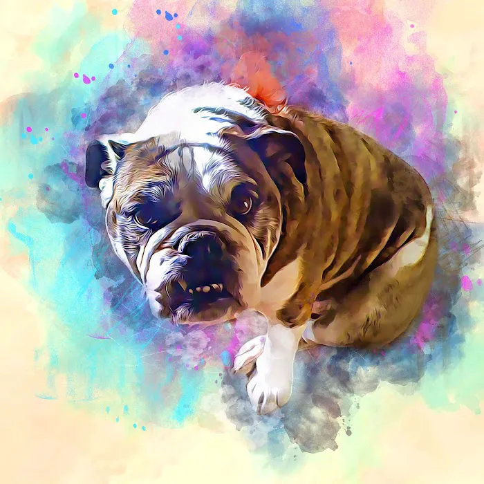 Dr. Ron's Animal Hospital Picture 3