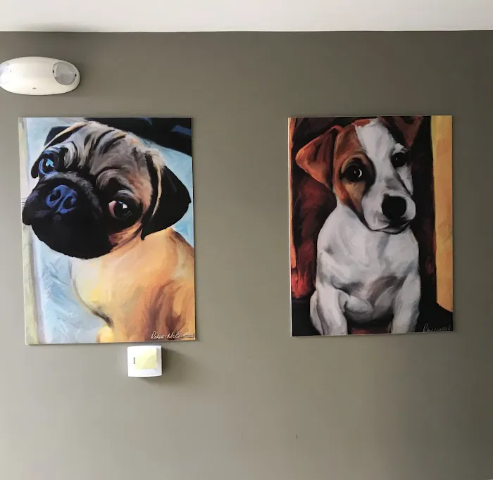 Dr. Ron's Animal Hospital Picture 10
