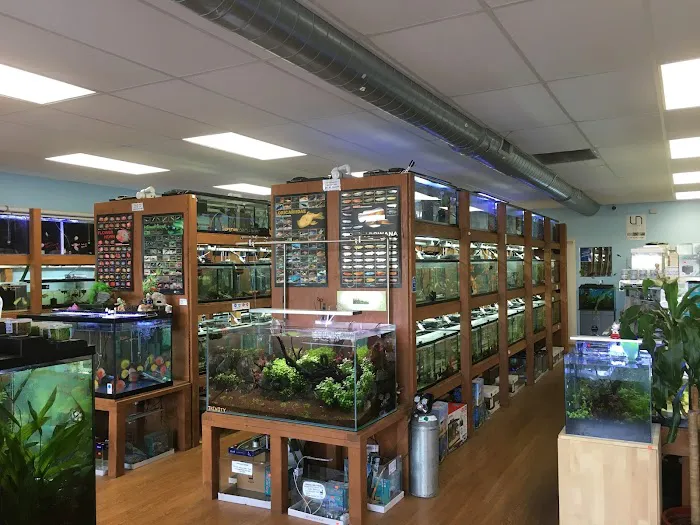 Pet Zone Tropical Fish Picture 4