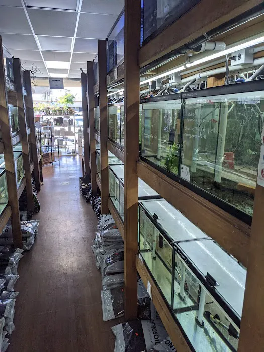 Pet Zone Tropical Fish Picture 5