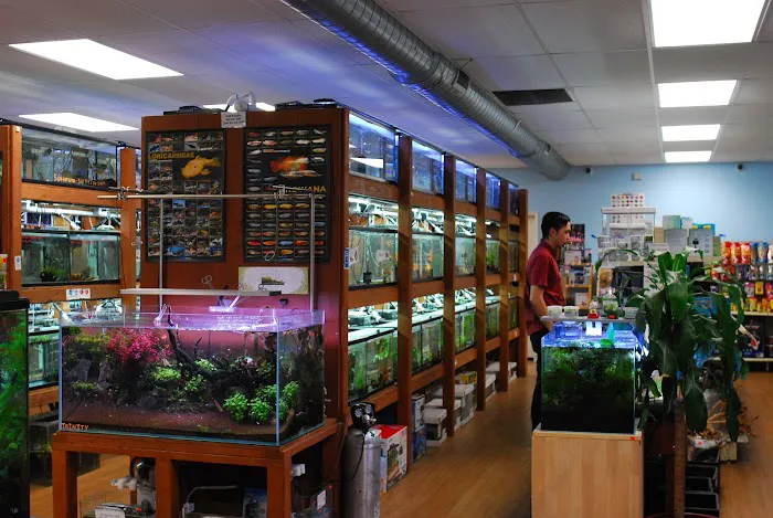 Pet Zone Tropical Fish Picture 10