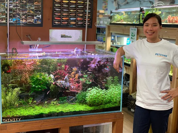 Pet Zone Tropical Fish Picture 9