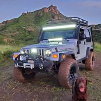 Pet Pawz-itive ico