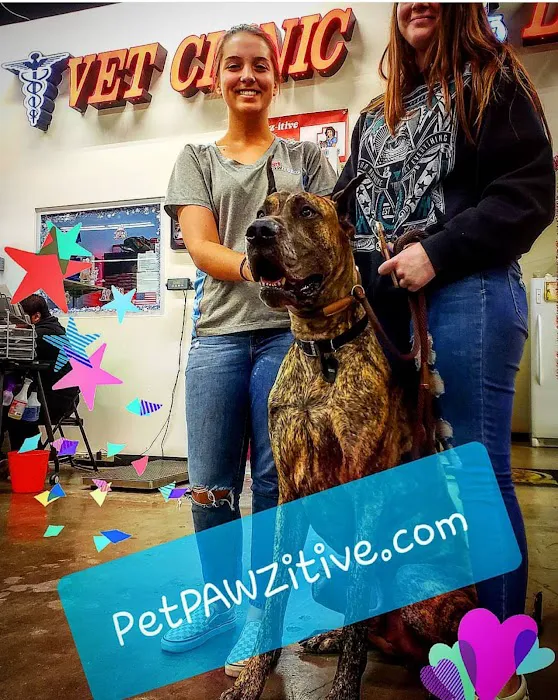 Pet Pawz-itive Picture 9