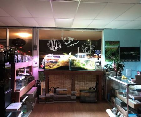 Aquascape Supply Co.