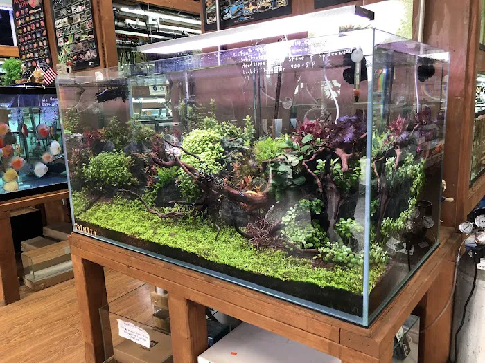 Aquascape Supply Co. Picture 6