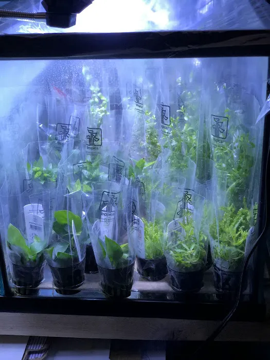 Aquascape Supply Co. Picture 4