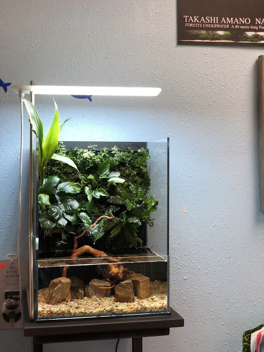 Aquascape Supply Co. Picture 8