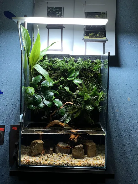 Aquascape Supply Co. Picture 7