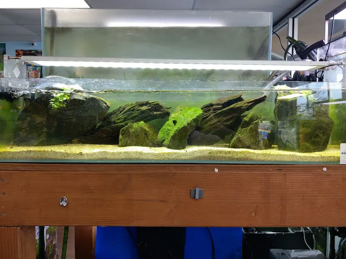 Aquascape Supply Co. Picture 10