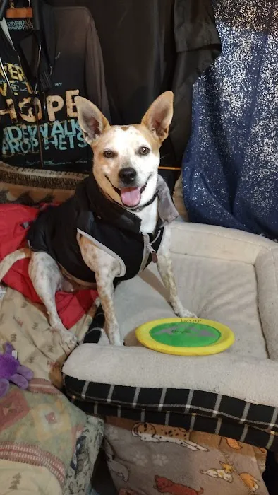Petco Picture 2