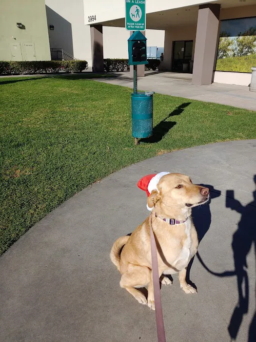 Petco Picture 9