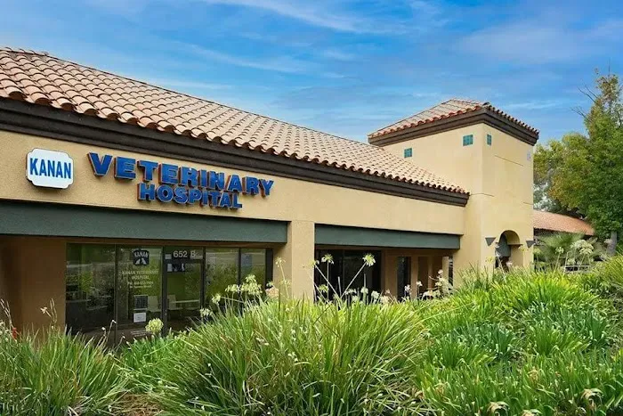 Kanan Veterinary Hospital Picture 7