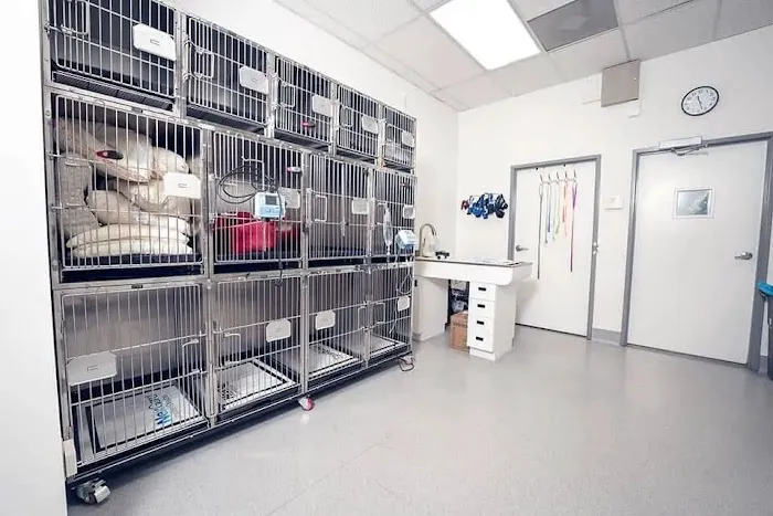 Kanan Veterinary Hospital Picture 8