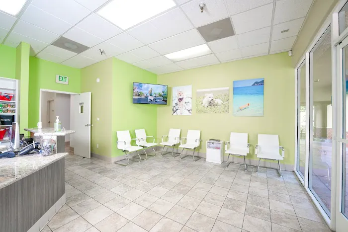 Kanan Veterinary Hospital Picture 9