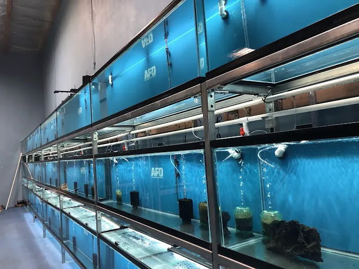 Aquarium Fish Depot Picture 1