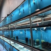 Aquarium Fish Depot ico