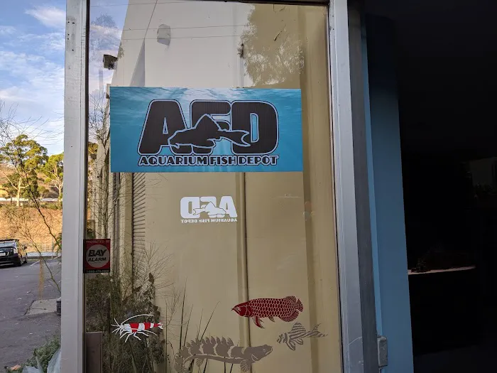 Aquarium Fish Depot Picture 6