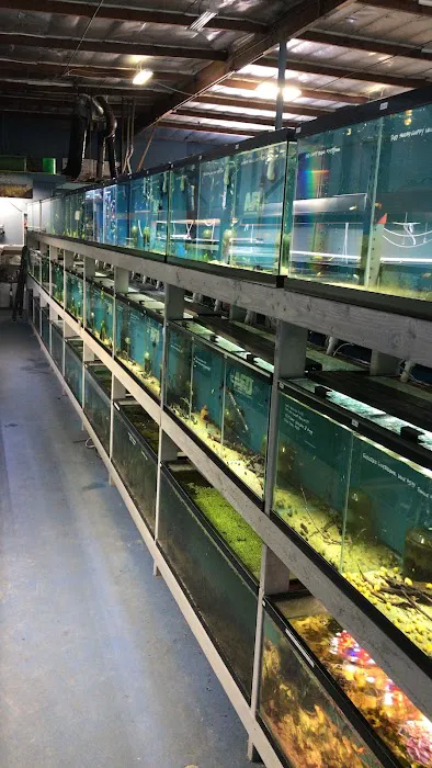 Aquarium Fish Depot Picture 5