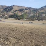 Agoura Hills Animal Hospital