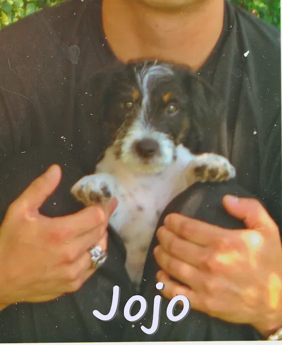 Agoura Hills Animal Hospital Picture 7