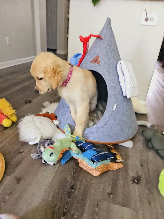 Deckers Dog + Cat Picture 3