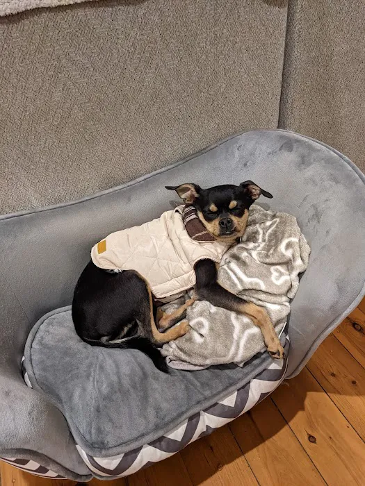 All Vet Care Animal Hospital and Rehabilitation Picture 1