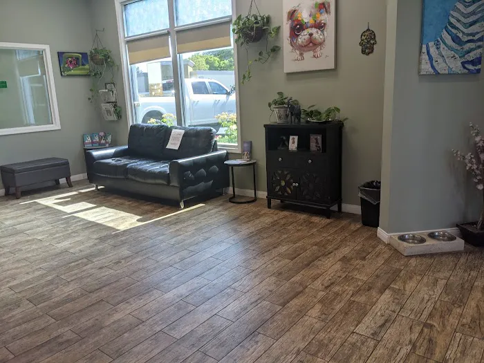 All Vet Care Animal Hospital and Rehabilitation Picture 3