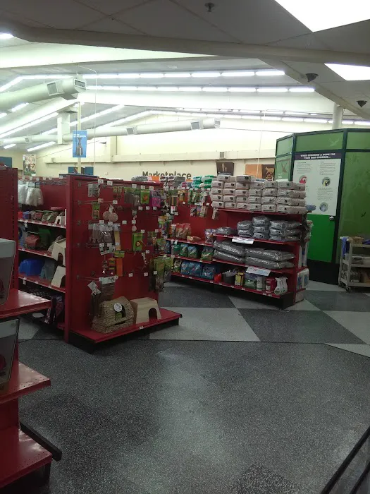 Petco Picture 8