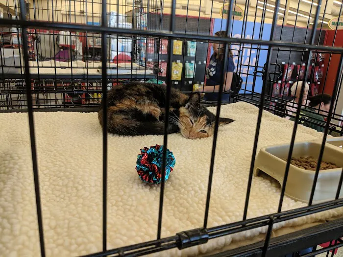 Petco Picture 9