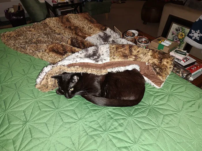 Dr. Battier's Veterinary Clinic Picture 8